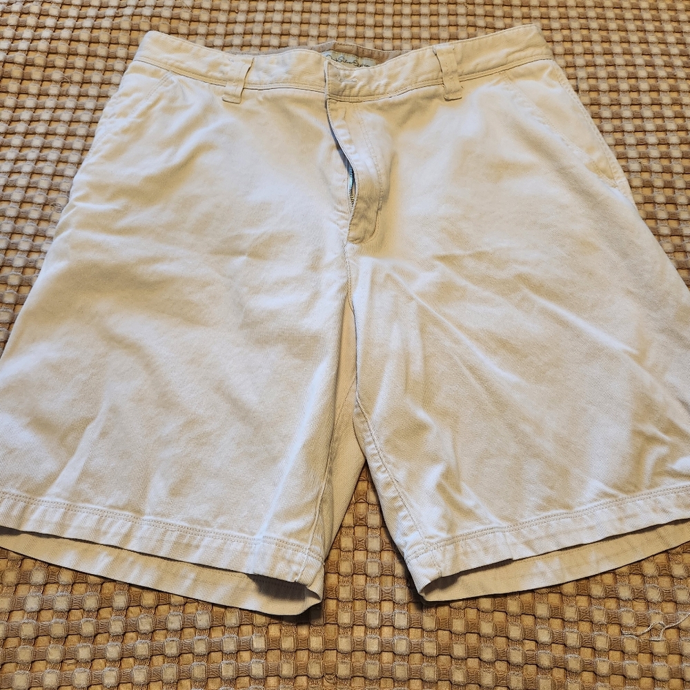 Quik Silver Edition Shorts Size 36